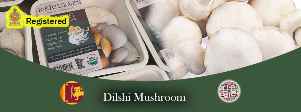 Dilshi mashroom